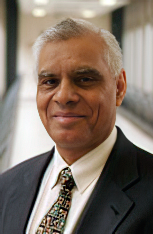 Vijay Lyall, Ph.D.